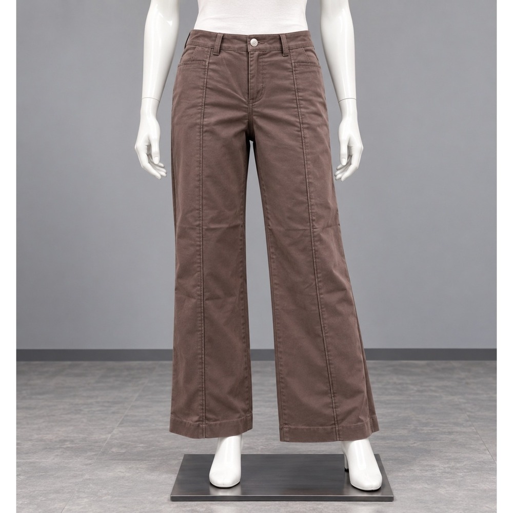 Ann Taylor Signature Fit Cropped Pants Womens 8 Brown Zipper Hem Ankle Trousers